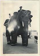Mechanical Elephant, promenade by Winter Gardens 1950s | Margate History